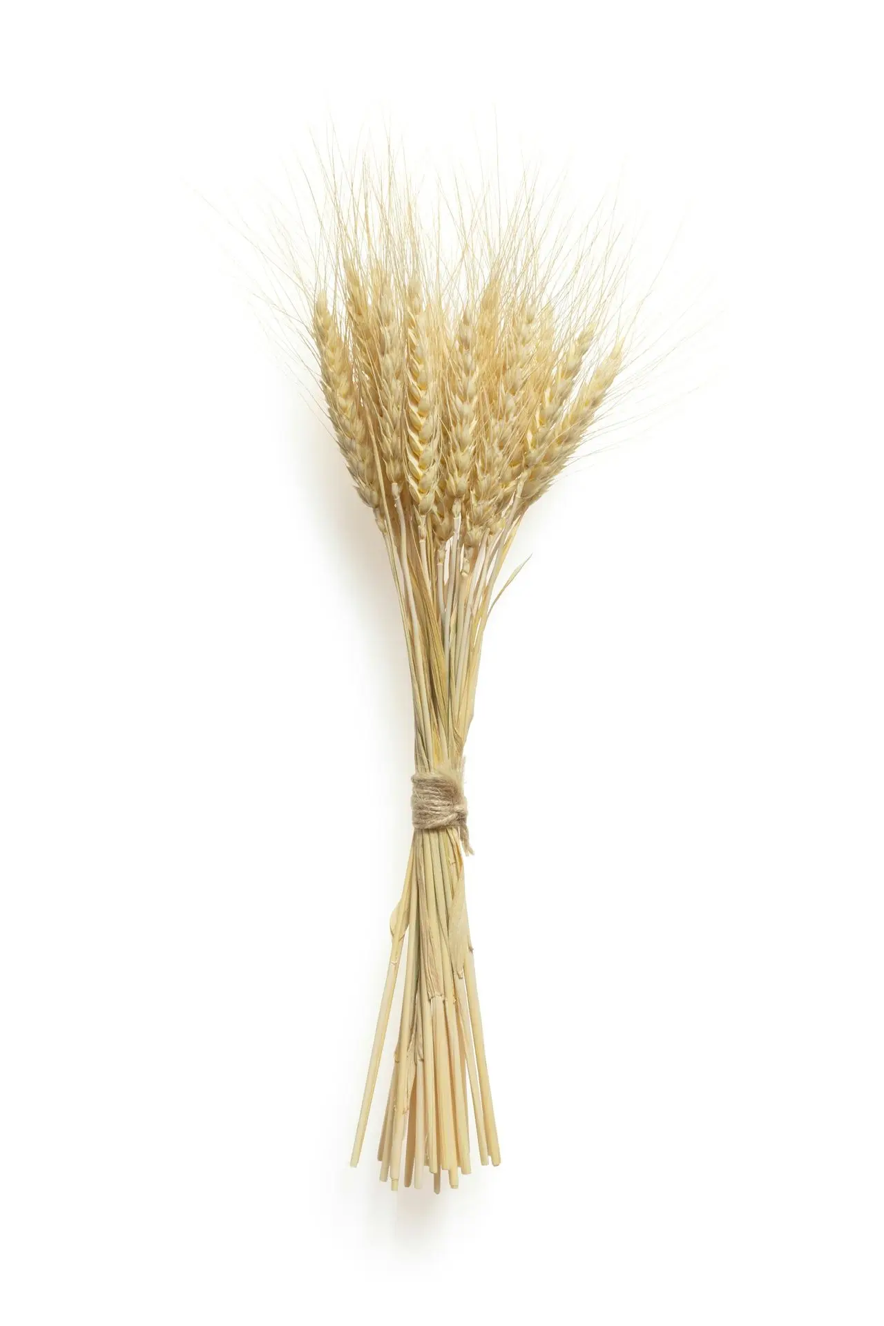 About Kamran Flour Mills Kamran Flour Mills, flour manufacturer Pakistan, LalaMusa flour mill, premium wheat flour, chakki atta, suji, fine flour, Pakistani wheat products, established 1968